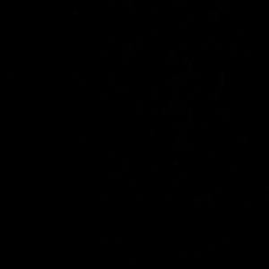 Meet your Posher, Gary